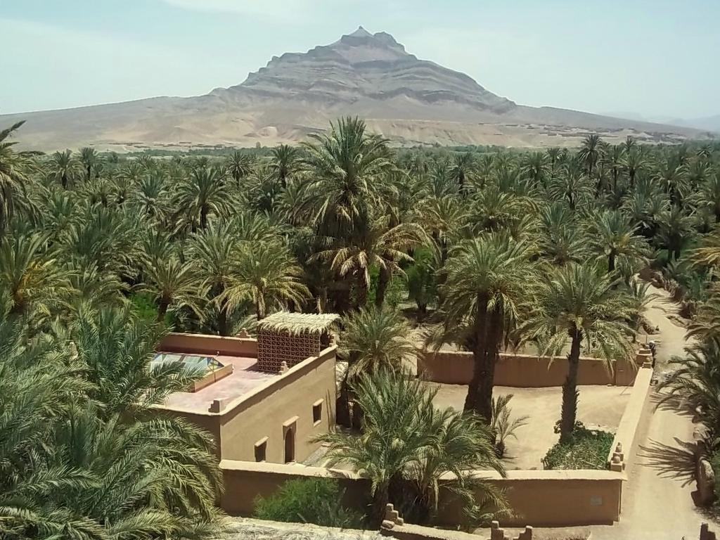 Hotel Dar Jnane - La Maison Du Jardin à Agdz Extérieur photo