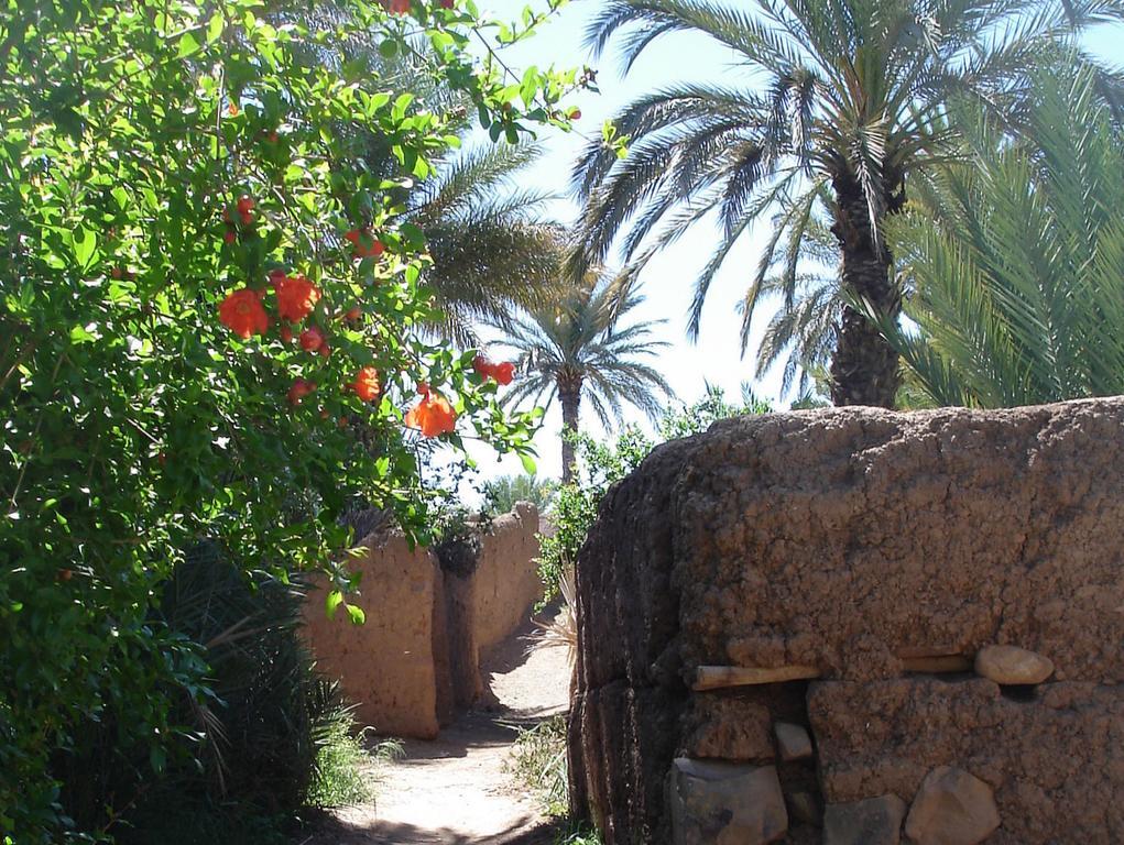 Hotel Dar Jnane - La Maison Du Jardin à Agdz Extérieur photo